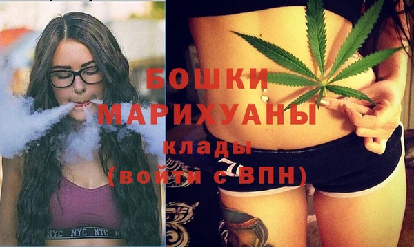 бошки Верея