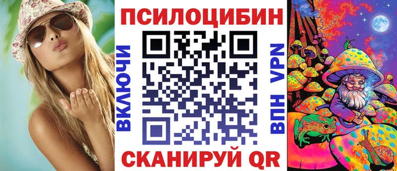 ссылка на мегу как войти  Черняховск  Псилоцибиновые грибы ЛСД  где купить  