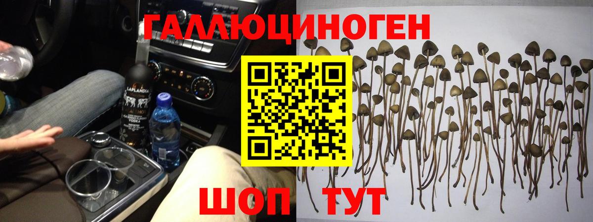 цены   Галлюциногенные грибы мицелий  Вход с VPN  Псилоцибиновые грибы мухоморы  Черняховск 