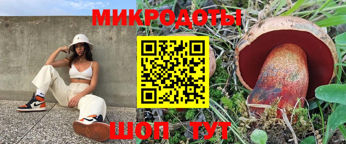 Галлюциногенные грибы Psilocybe Черняховск
